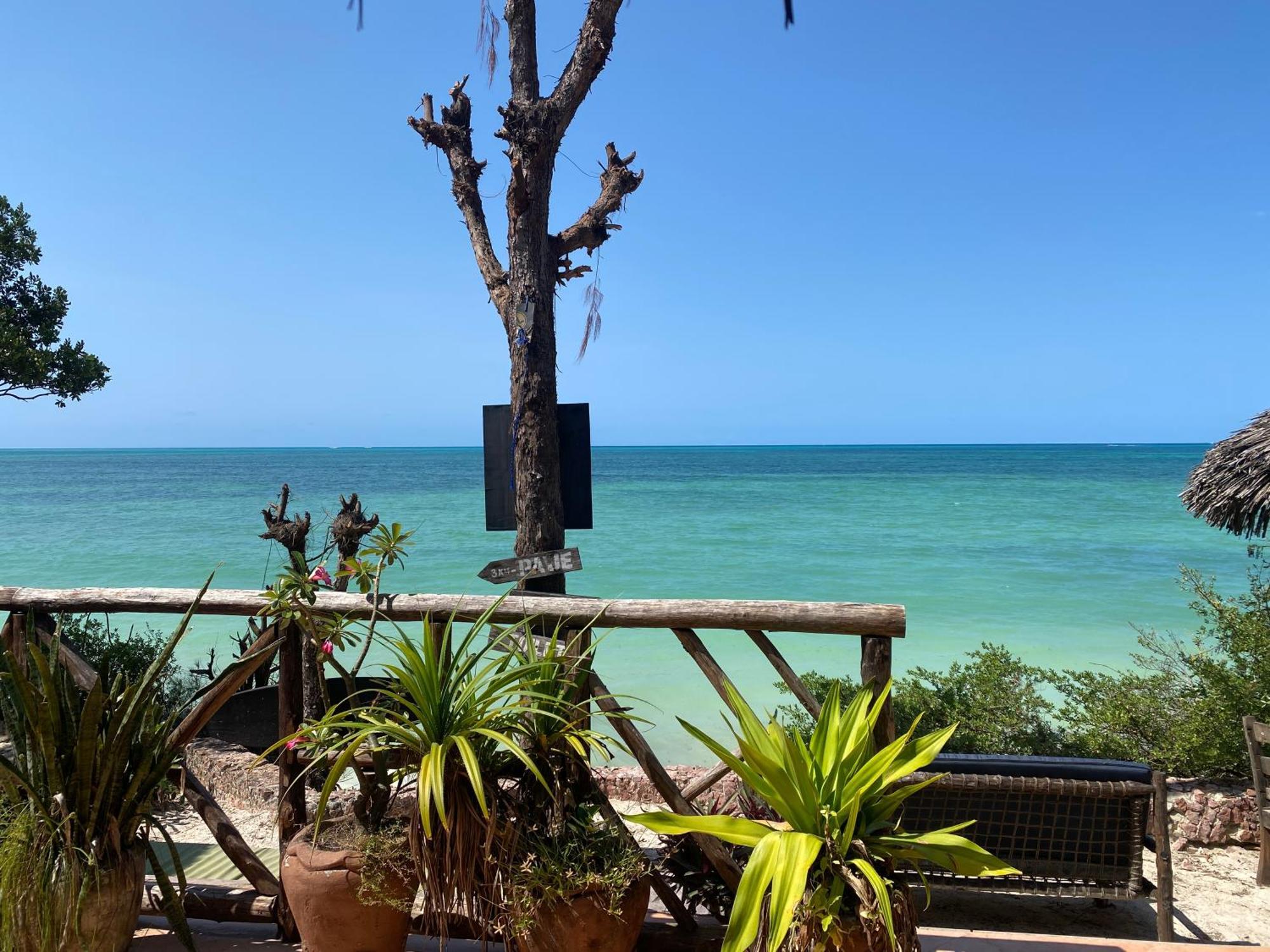 Mbuyuni Beach Village จัมเบียนี ภายนอก รูปภาพ